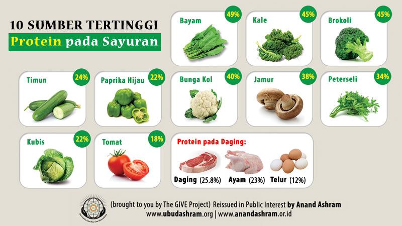 10 Sumber Tertinggi Protein pada Sayuran